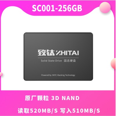 256GB
